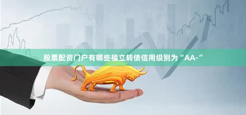 股票配资门户有哪些福立转债信用级别为“AA-”
